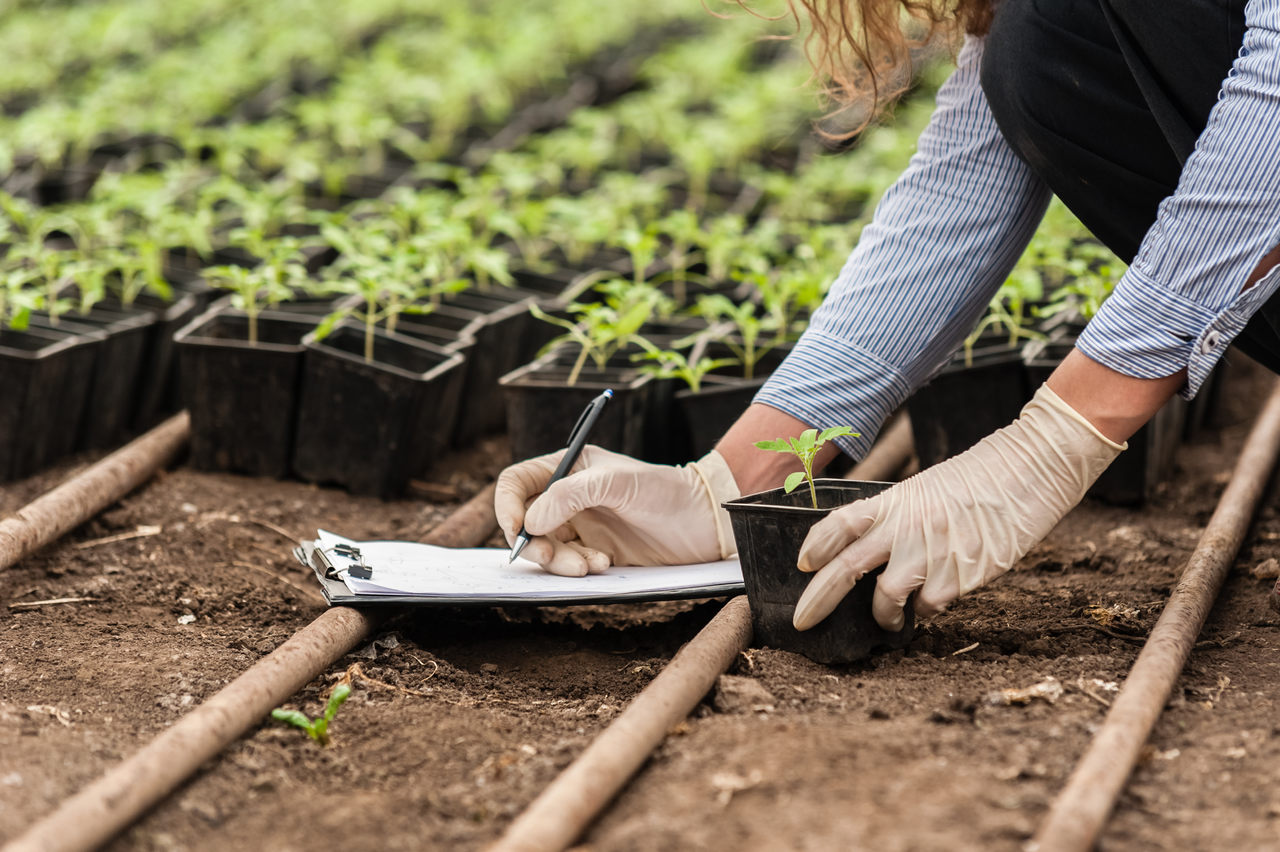 Agricultura